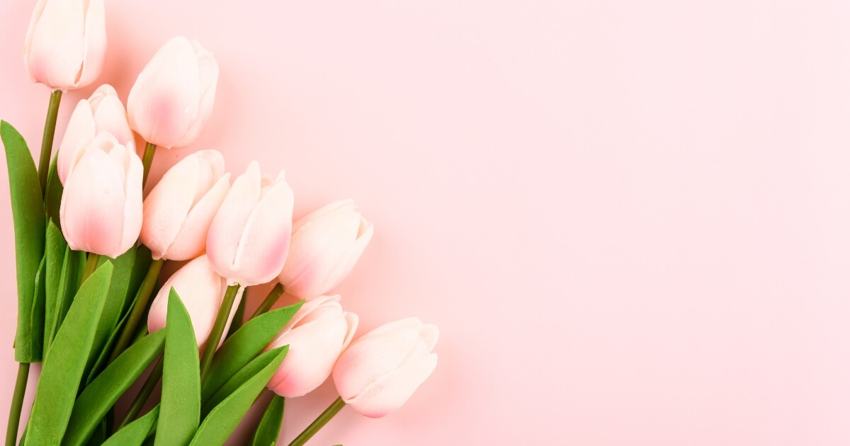 Nőnapi ajándékötletek Silk&Soul selyem termékek